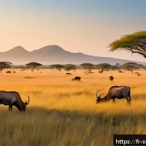 Home 31 남수단 관광 명소 - A vast, untouched African savanna landscape in Boma National Park at sunrise, with golden light illu...